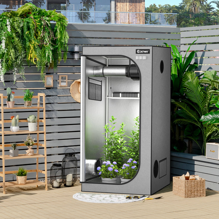 Hydroponic 2025 grow tent